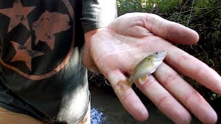 MICRO FISHING tiny lures CRAZY WEIRD CATCH