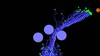 Evolving Virtual Creatures - Reaching III - Obstacle Avoidance