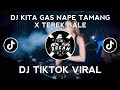 DJ KITA GAS NAPE TAMANG X TEREK BALE | TIKTOK VIRAL