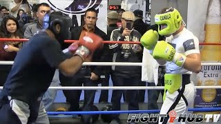CANELO ALVAREZ WORKS SPARRING PARTNER WITH HIGH LEVEL COUNTER PUNCHING - FULL VIDEO