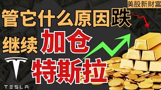 管他什么原因下跌，继续加仓特斯拉？ #tsla #nvda #美股 #rsi