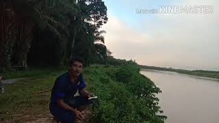 Mancing ikan temole sungai perak