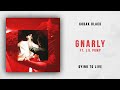 Kodak Black - Gnarly Ft. Lil Pump (Dying To Live)