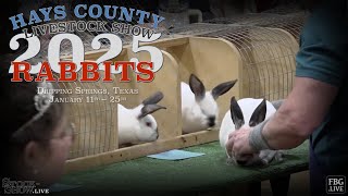 Rabbit - Session II - Hays County Livestock Show