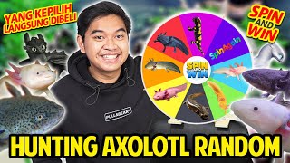 HUNTING AXOLOTL SI NAGA AIR RANDOM! BELI APAPUN AXOLOTL YANG TERPILIH! SPINNING WHEEL! SEMOGA HOKI!