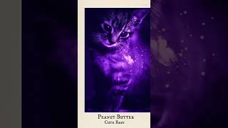 aesthetic purple cat boss