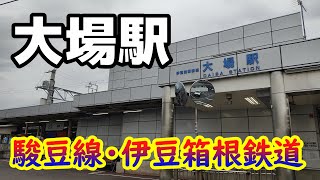 【伊豆箱根鉄道】大場駅を見に行きました（2021年10月）