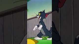 Tom et Jerry || A Cat's Vacation in the Country#Purani cartoons786