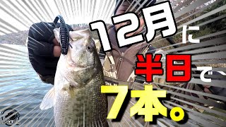 【バス釣り】経験がモノを言う❓エビシャッド最強❕冬のバスにはこれが効く❕【琵琶湖バス釣り】