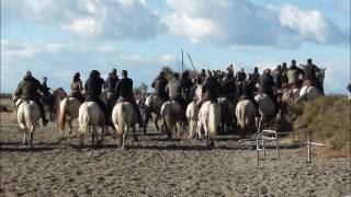 abrivado des plages st marie de la mer 11.11.2016