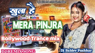 खुला है !! Mera Pinjara !! Bollywood Trance Mix !! Dj Baldev Pushkar