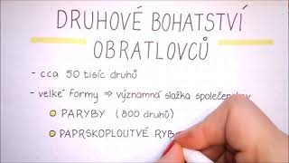 Druhové bohatství obratlovců