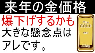 来年の金価格に関する懸念点