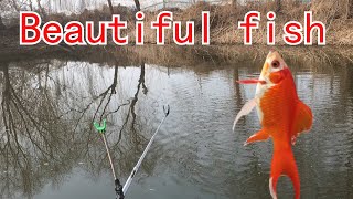 Will the fish mouth get better when the temperature rises in winter? #fishingvideo #fishingtips