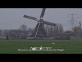 vlog n°87 drie kleine zwanen voor de wingerdse molen