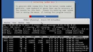 Implementing HTTPS through TLS using Network Security Service (NSS) for Apache in RHEL 7 - RHCE 8