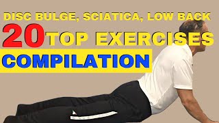 20 TOP Exercises For Disc Bulge, Sciatica, Low Back Pain (MEGA COMPILATION) Dr. Walter Salubro