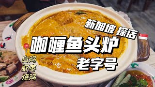 【导盲犬探店】新加坡·咖喱鱼头炉