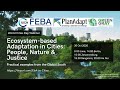 Ecosystem-based Adaptation in Cities: People, Nature & Justice - Practical examples from the Global