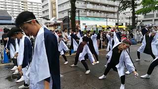 よさこい祭り IN 光が丘 2019