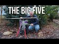 The Big Five - Weeding, Pruning, Fertilizing, Mulching, Watering