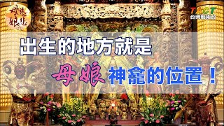 [母娘慈悲] 人物特寫：出生的地方，就是後來母娘神龕的位置！中壢慈惠堂董事長陳燦宏