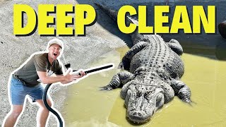 FULL Alligator House Clean!