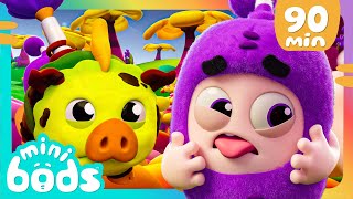 A Muddy Oinker! | Minibods | Mini Oddbods | Baby Oddbods | Funny Cartoons For Kids