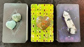 WHAT Do YOU Need to KNOW Right NOW?? 🦁🐺🍇😇 PICK A CARD **w/Reiki** Timeless Tarot Psychic Reading