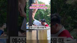 [핫클립]나주에서 황홀한 신비를 경험했습니다.