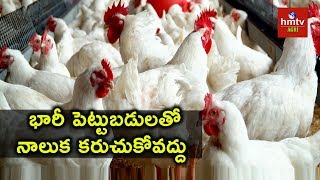 Poultry Farming -  Success Story of A Poultry Farmer | hmtv agri