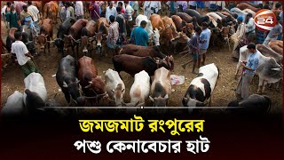 জমজমাট রংপুরের পশু কেনাবেচার হাট | Cattle Market | Channel 24