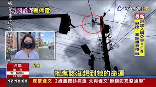 又是動物惹禍！鷹抓蛇掉落電杆 害70住戶停電