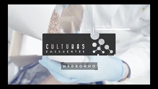 Culturas Emergentes - Medronho