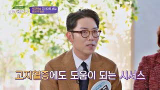 시서스의 눈에 띄는 효능 ☞ '고지혈증'에 도움! 맛있는 이야기 미라클 푸드(Miracle Food) 46회