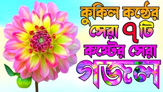 কুকিল কন্ঠের সেরা ৪টি নতুন গজল |মন মাতানো সেরা ৪টি গজল |মন কাঁদানো কষ্টের সেরা ৪টি গজল |Bangla Gazal