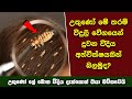 ඔබ මේවා දකින්නේ ජිවිතේ පළමු වතාවට EP:183