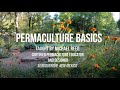 Permaculture Basics: Part 2 of 4, Principles of Natural Systems + Herbalism and Learning from Plants