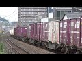 【jr貨物】遅５０７５レ ＥＦ８１ ４５５＋ＥＤ７６ １０１９ 重連