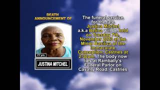 Justina Mitchel short