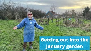 A January day on this Somerset flower farm (zone 8) x