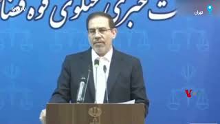 سخنگوی قوه قضائیه درباره حکم شروین حاجی‌پور: اگر نادم باشد فضا وجود دارد