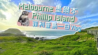 到底怎麼玩墨爾本菲利普島？｜2021Melbourne Phillip Island Vlog