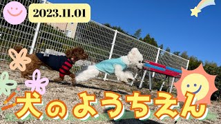 犬の幼稚園　まとめ　2023/11/01ドッグスクール縁島根県松江市宍道町　犬のしつけ　トレーニング　しつけ教室　出張　ドッグラン（講習制）　ドッグフリーキャンプ場　犬の保育園