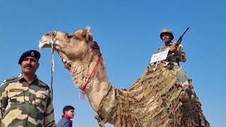 INTERNATIONAL CAMEL FESTIVAL RAJASTHAN  #rajasthan  #camelfestival