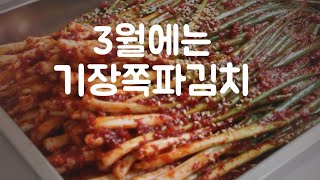 3월에 참 맛있는 쪽파김치