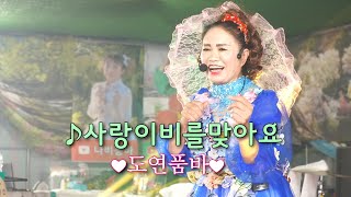 도연품바 - 사랑이비를맞아요 (원곡:배금성)