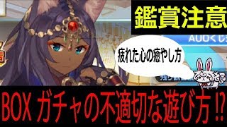 【FGO】BOXガチャの不適切かつ正しい遊び方！？疲れた心に一滴の癒やし※鑑賞注意