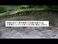 フライフィッシング北海道 雨の日に釣りに行った時の話。支流編