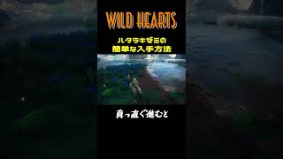 WILD HEARTS　ハタラキゼミの入手方法